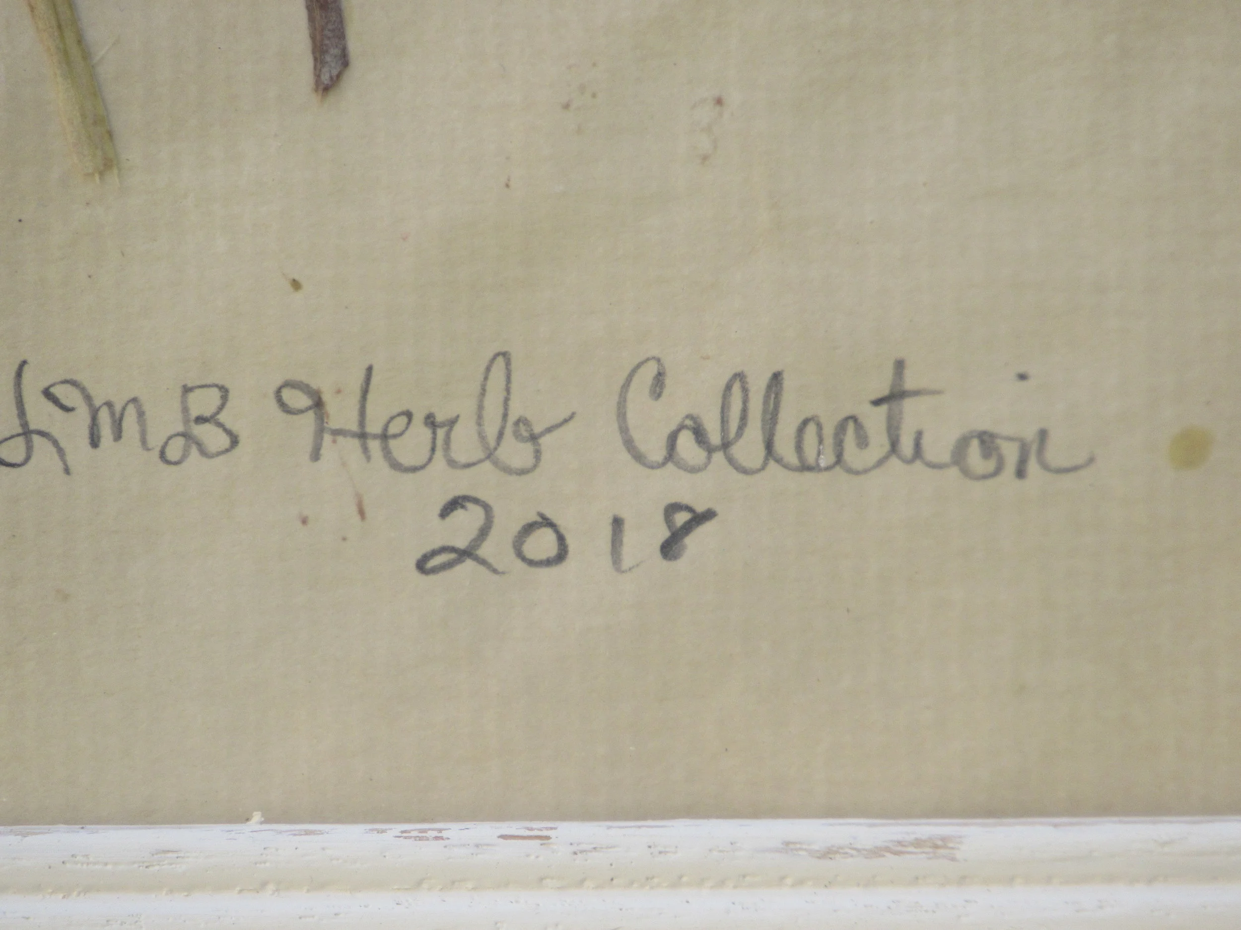 Rosemary and Marjoram