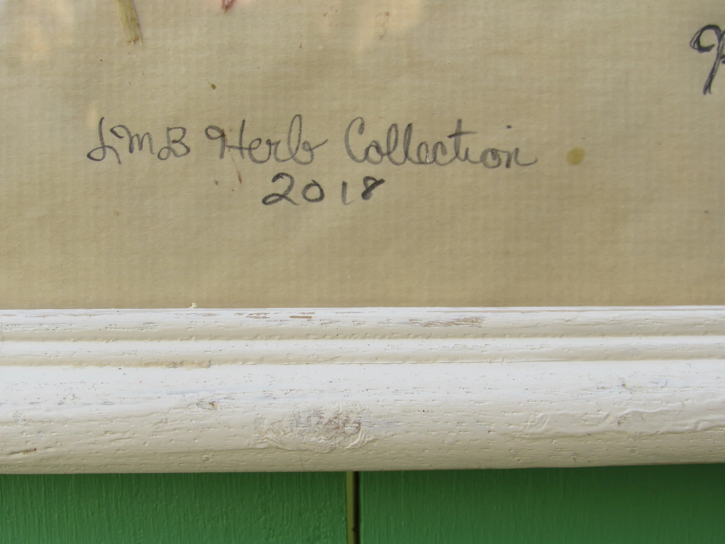 Taragon and Marjoram