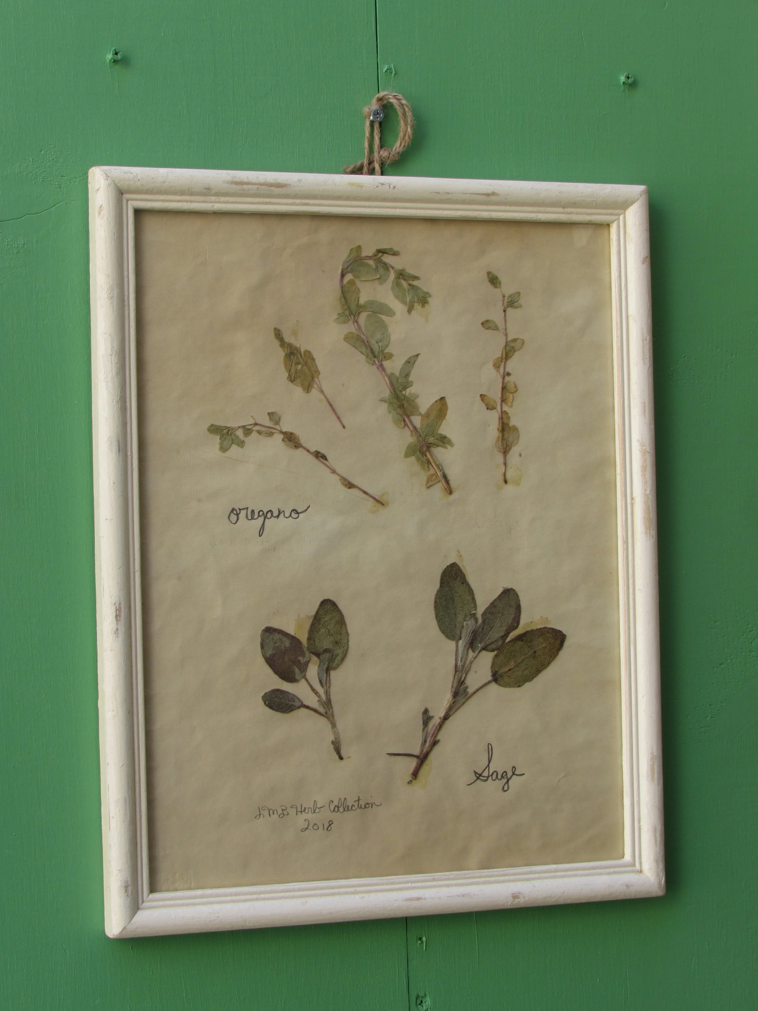 Oregano and Sage