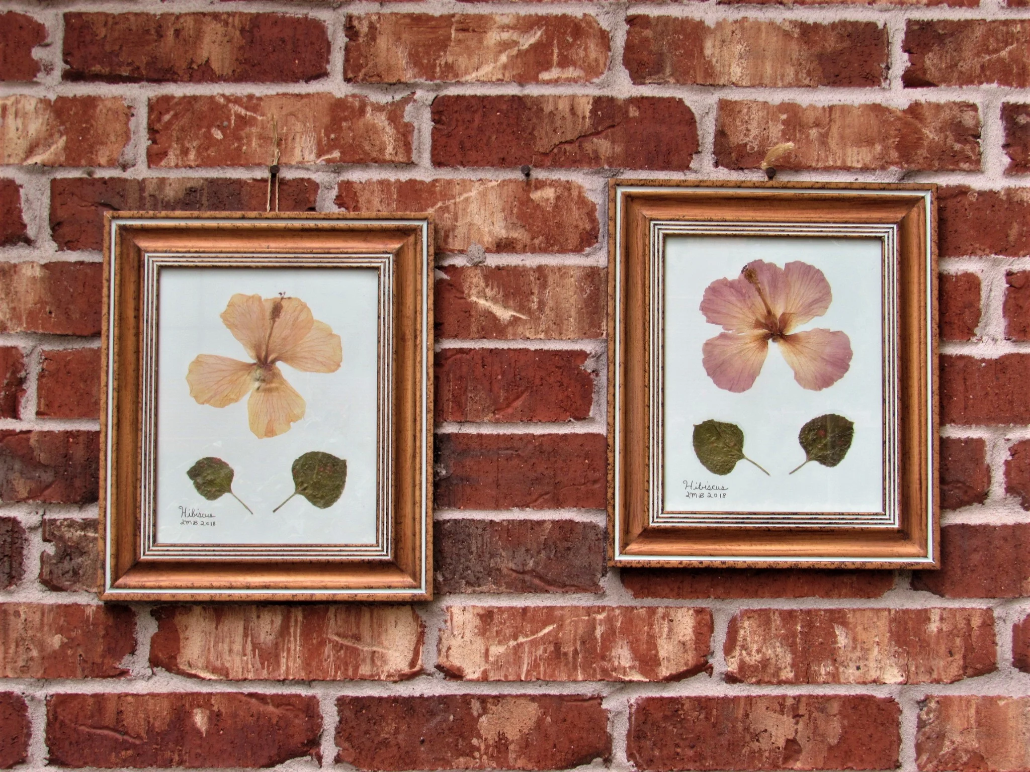 20190806021413 (2).JPG