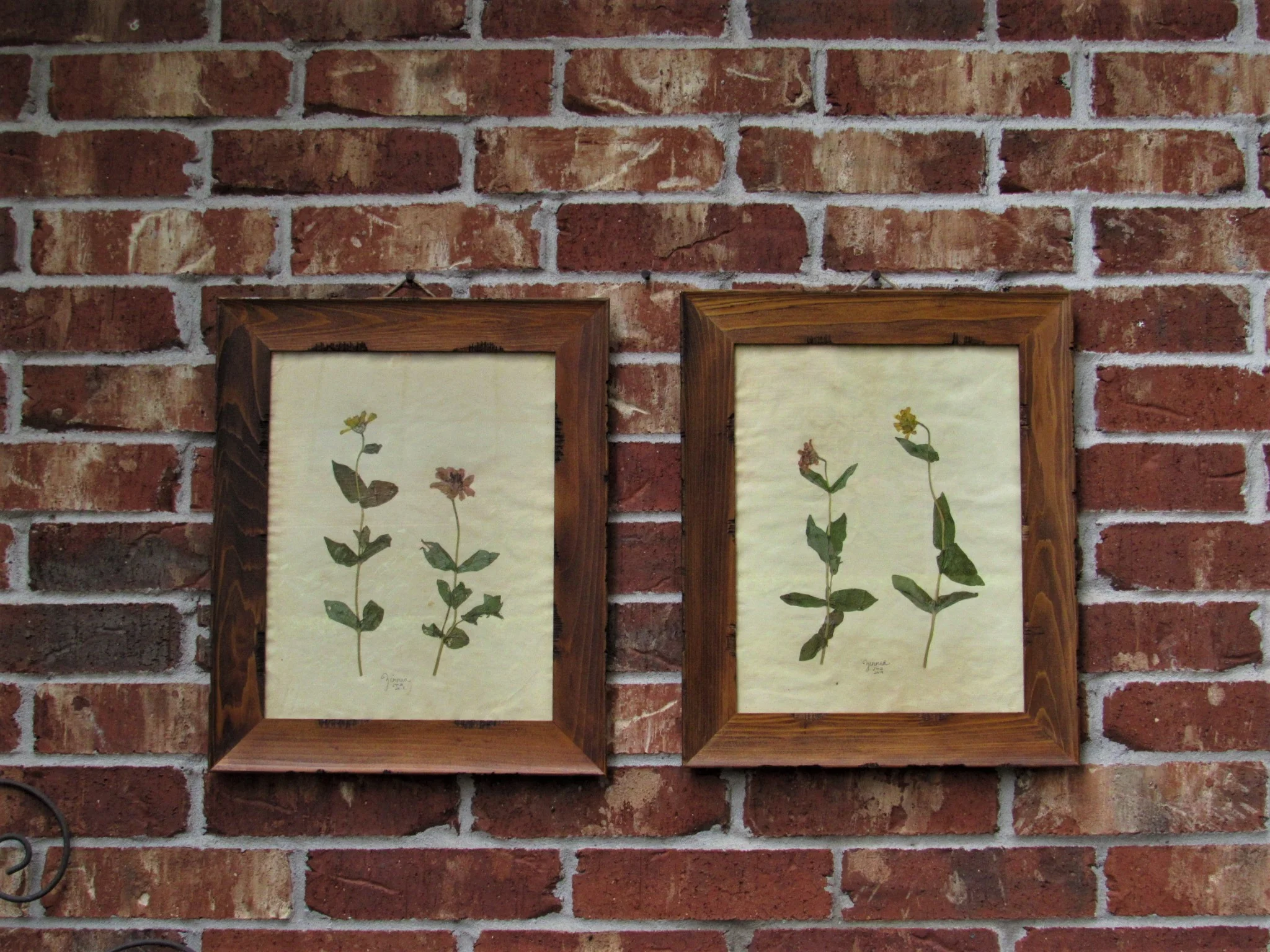 20190806020452 (2).JPG