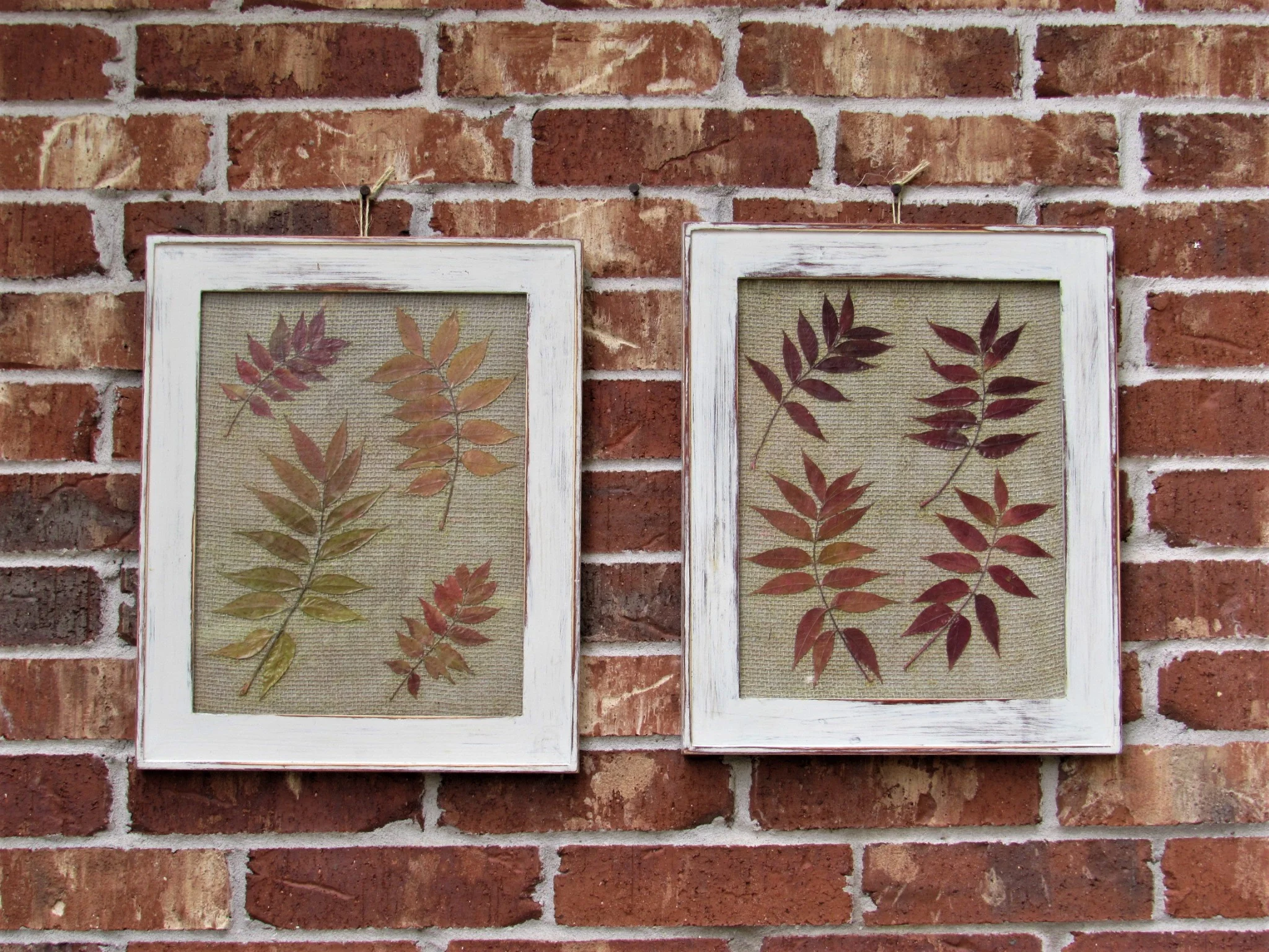 20190806021710 (2).JPG