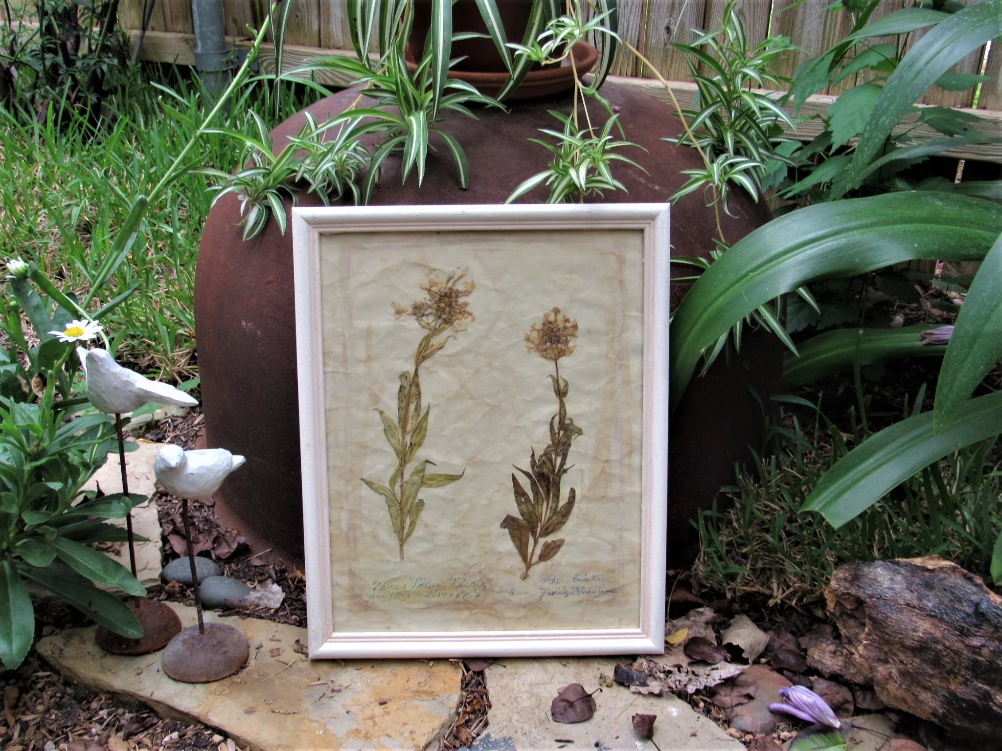 20190806023757 (2).JPG