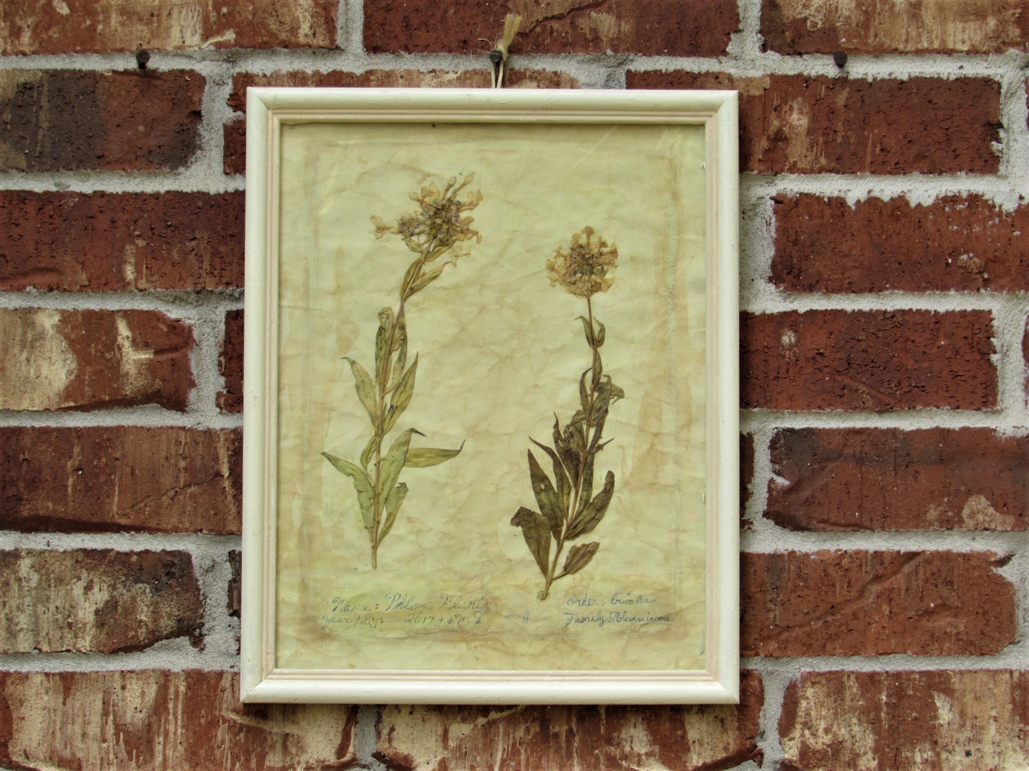 20190806021224 (2).JPG