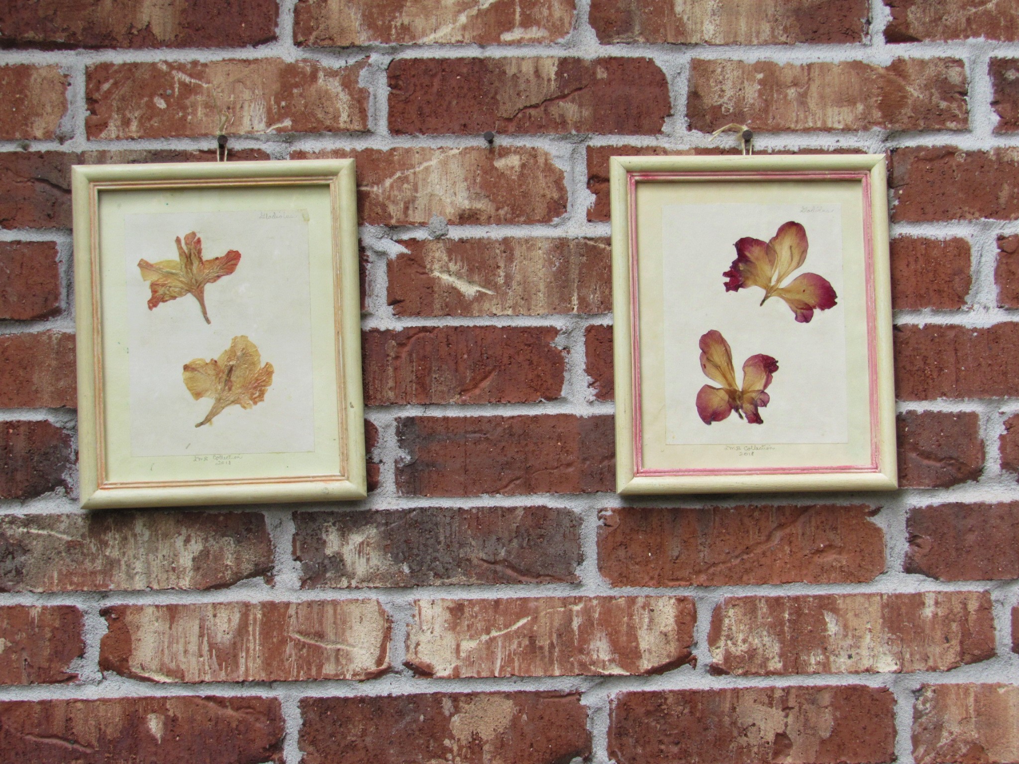 20190806022701 (2).JPG