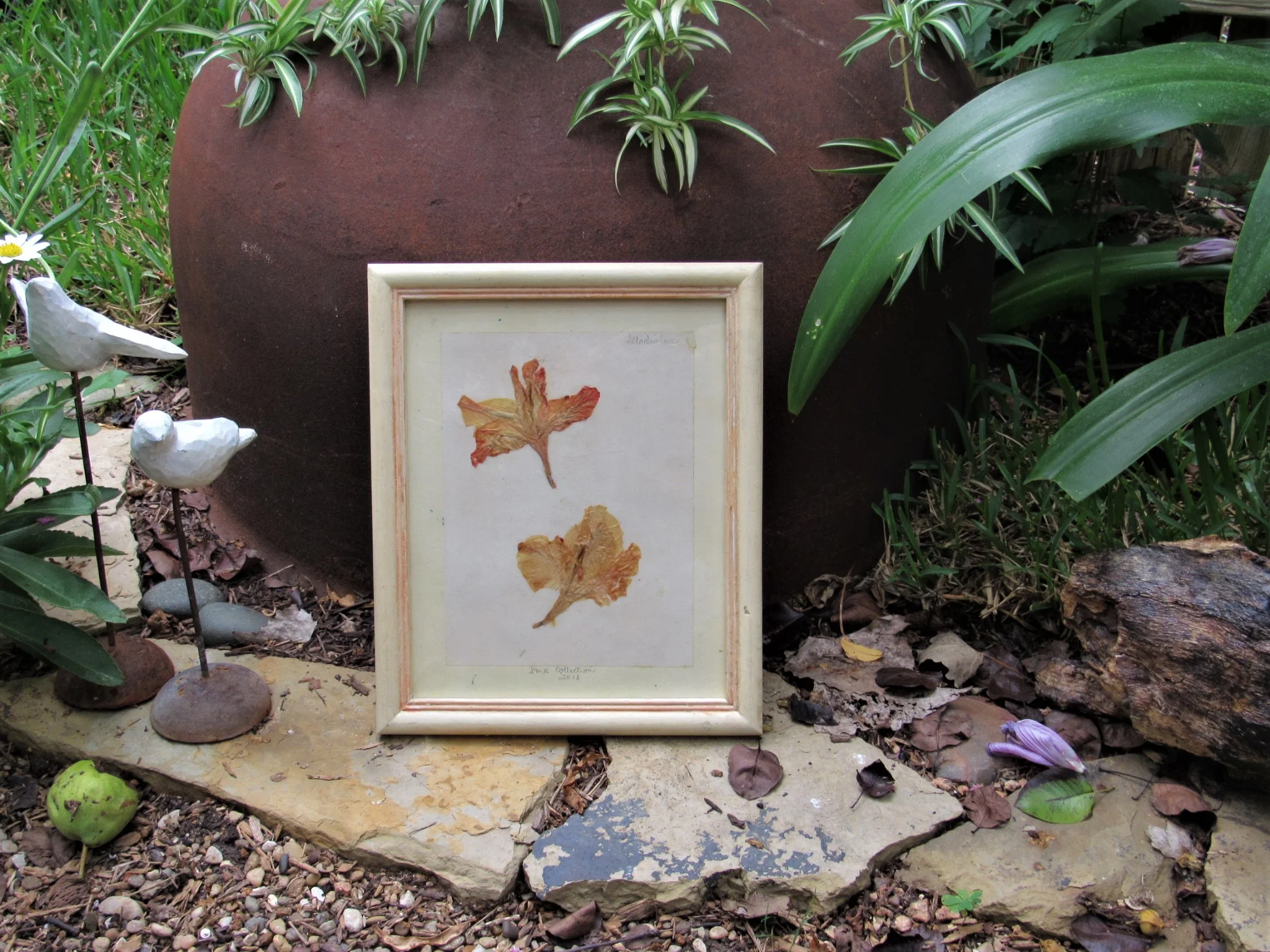 20190806024551 (2).JPG