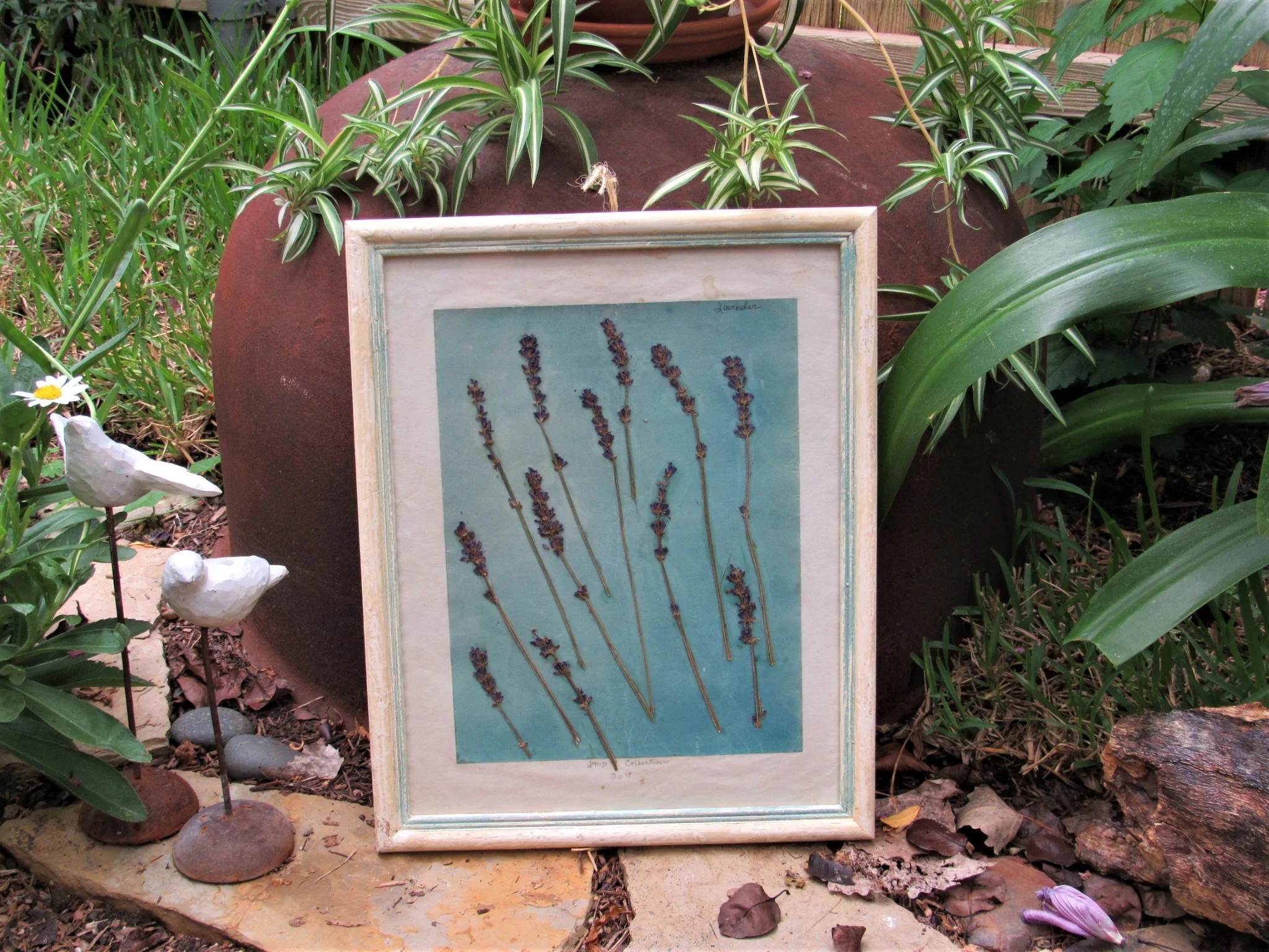 20190806023832 (2).JPG