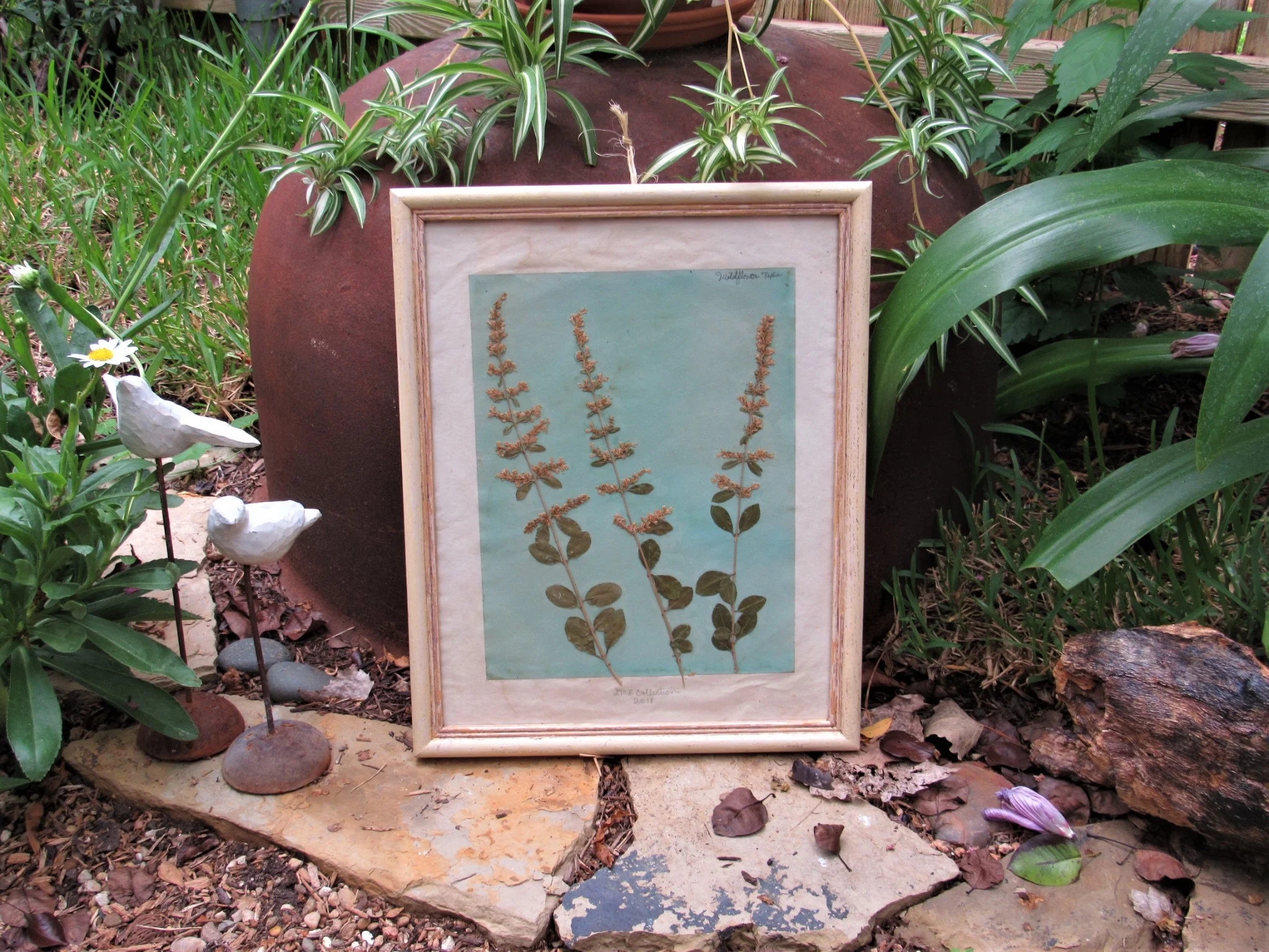 20190806023813 (2).JPG