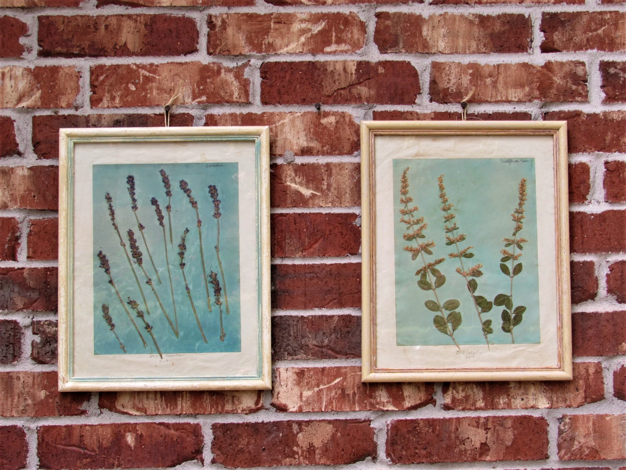 20190806021337 (2).JPG