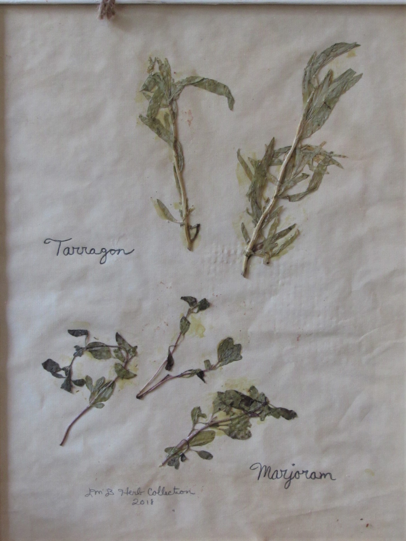 20190806000117 (2).JPG