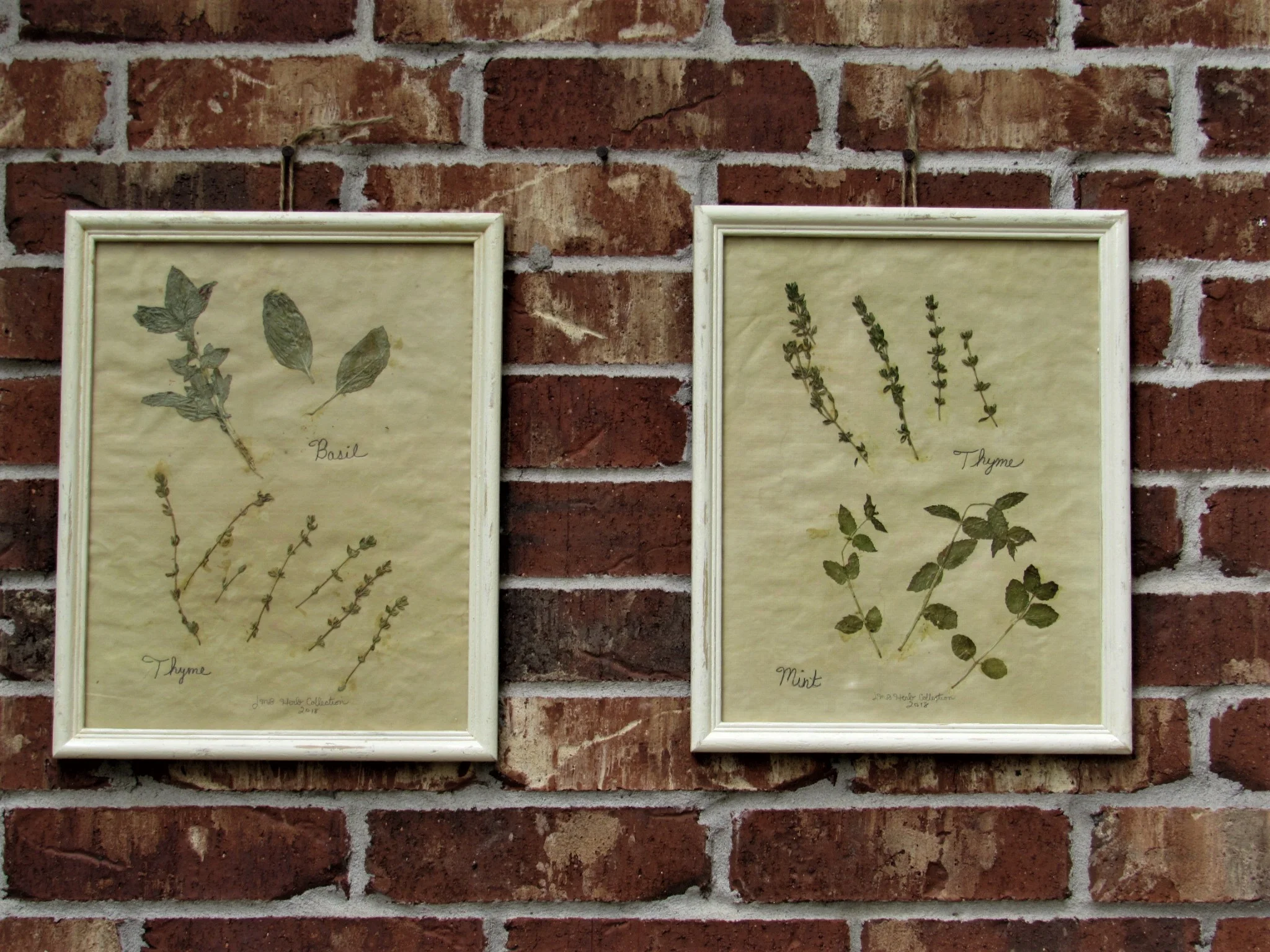 20190806020955 (2).JPG