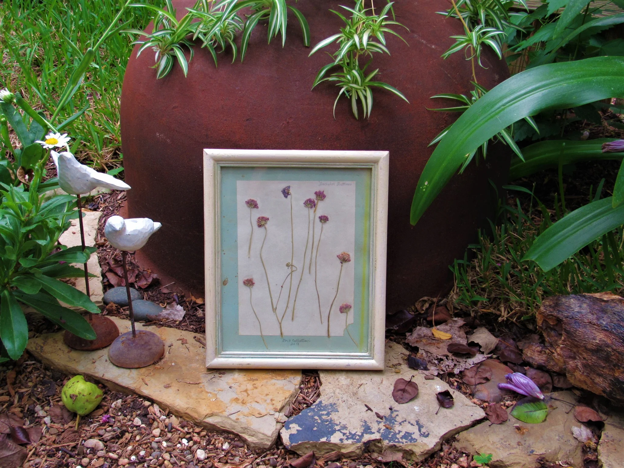 20190806024900 (2).JPG