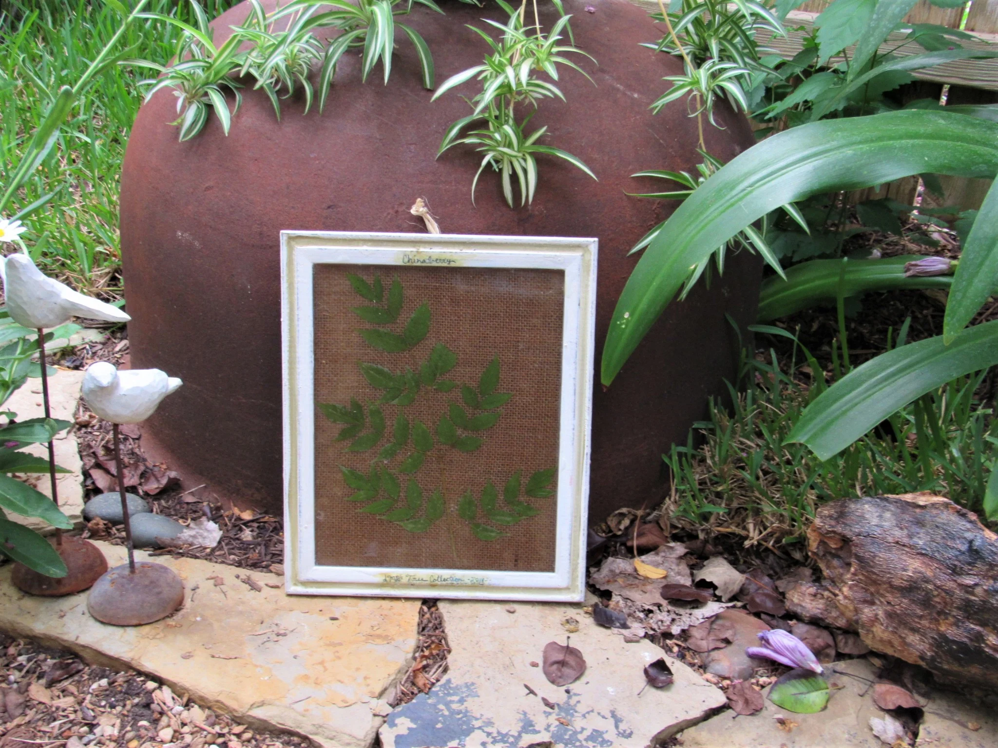 20190806024447 (2).JPG