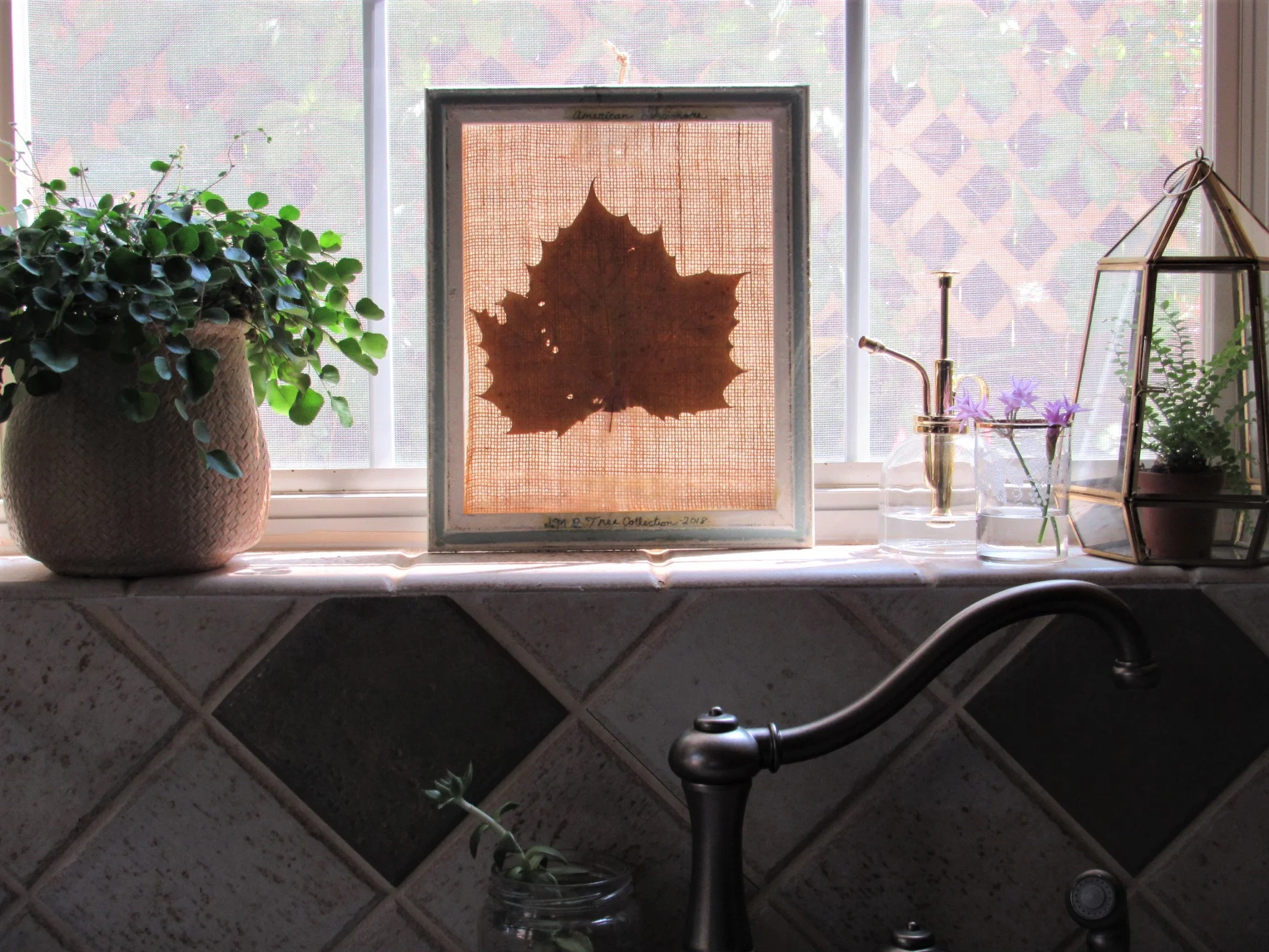 20190805225230 (2).JPG