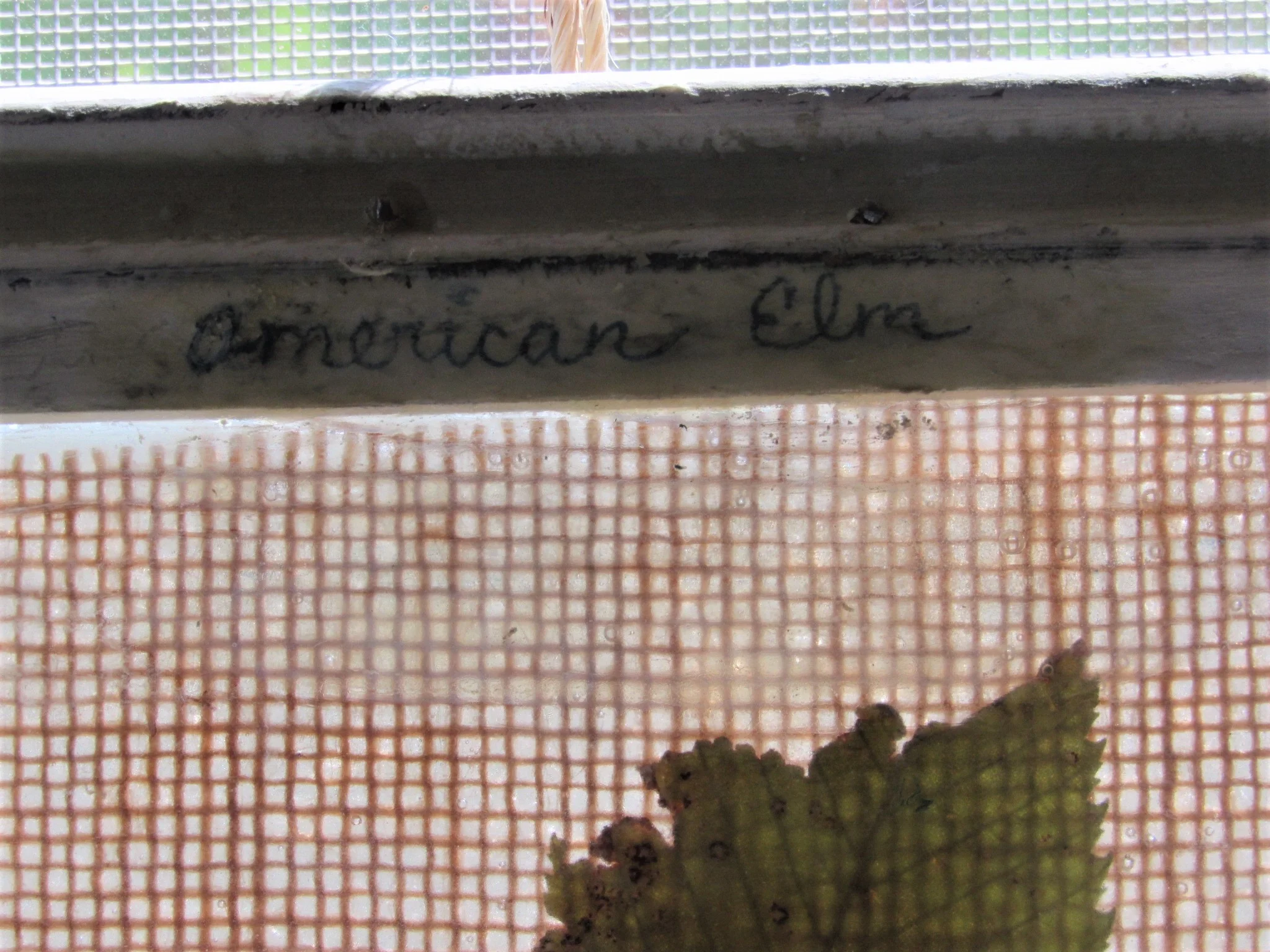 20190805225419 (2).JPG