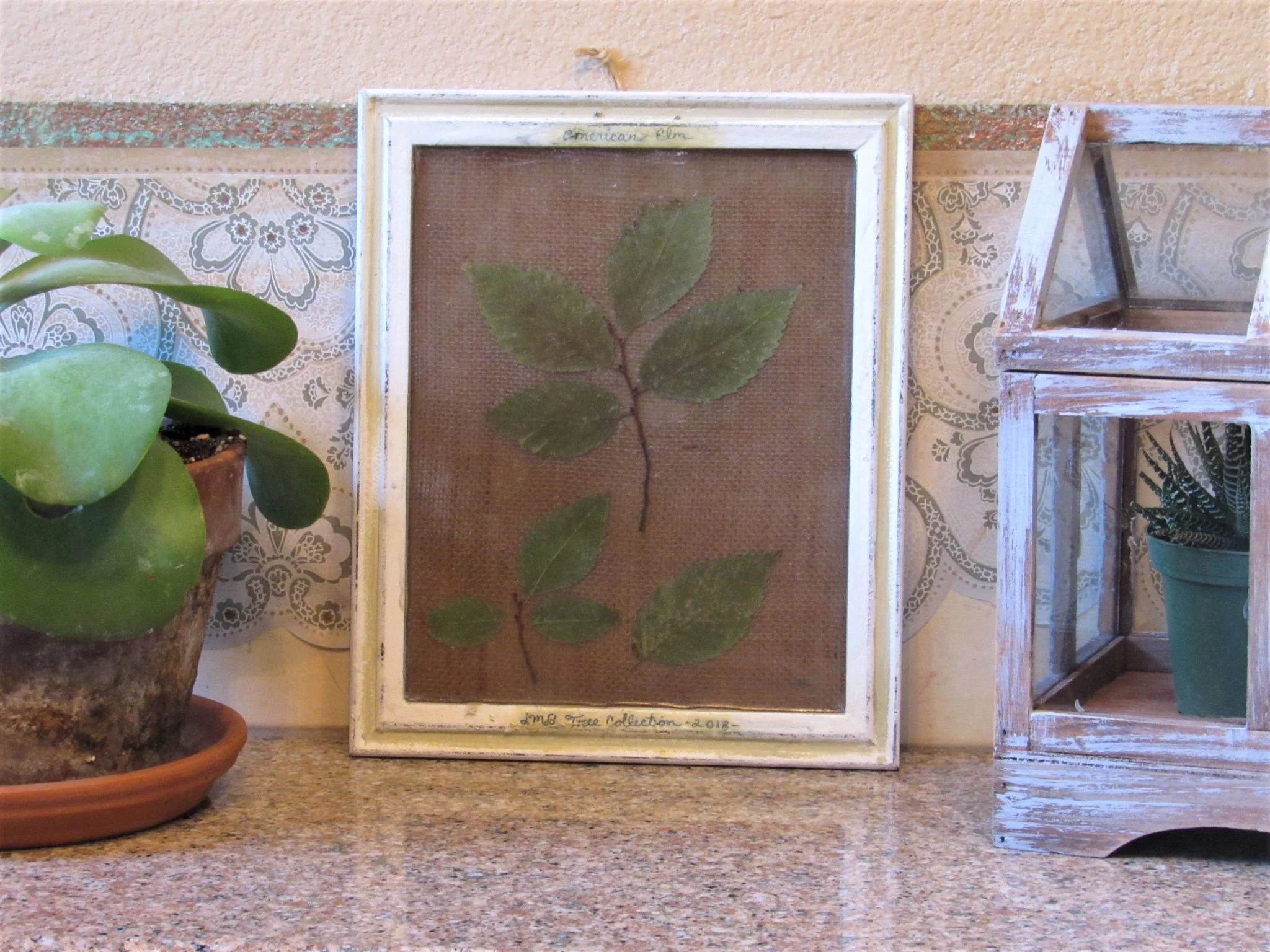 20190805230715 (2).JPG