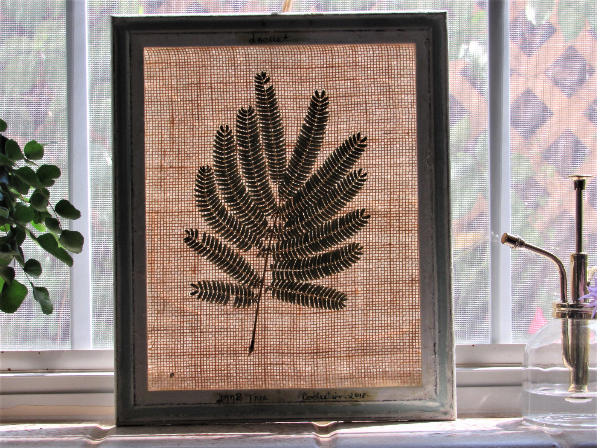 20190805225448 (2).JPG