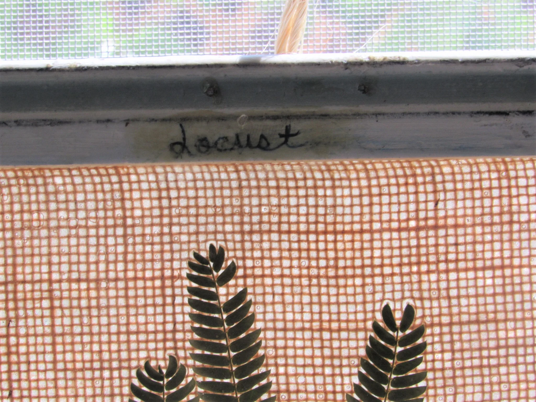 20190805225504 (2).JPG