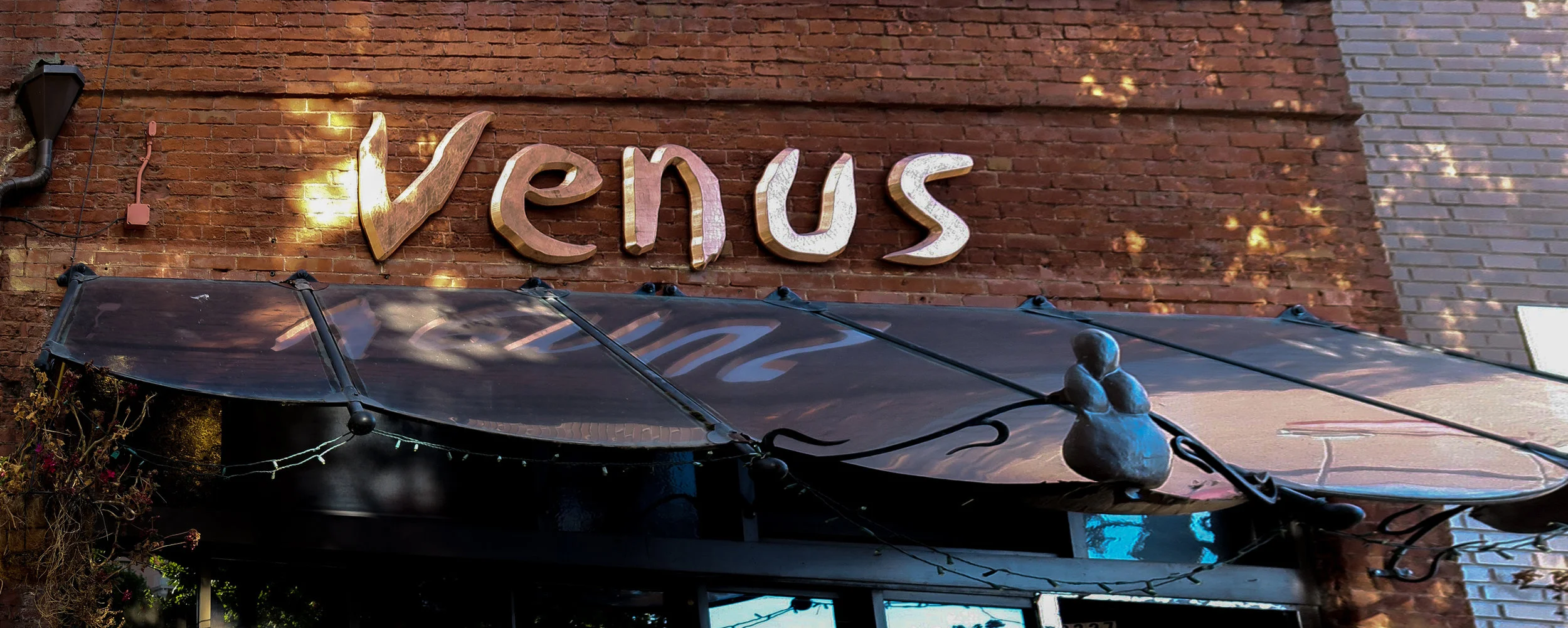 venus header.jpg
