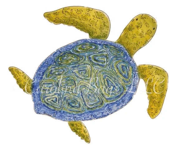 Closeup-Sunde-BabyTurtle.jpg