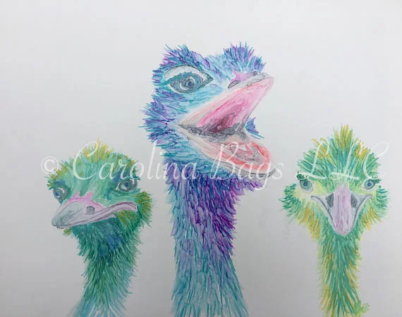 Three Ostriches