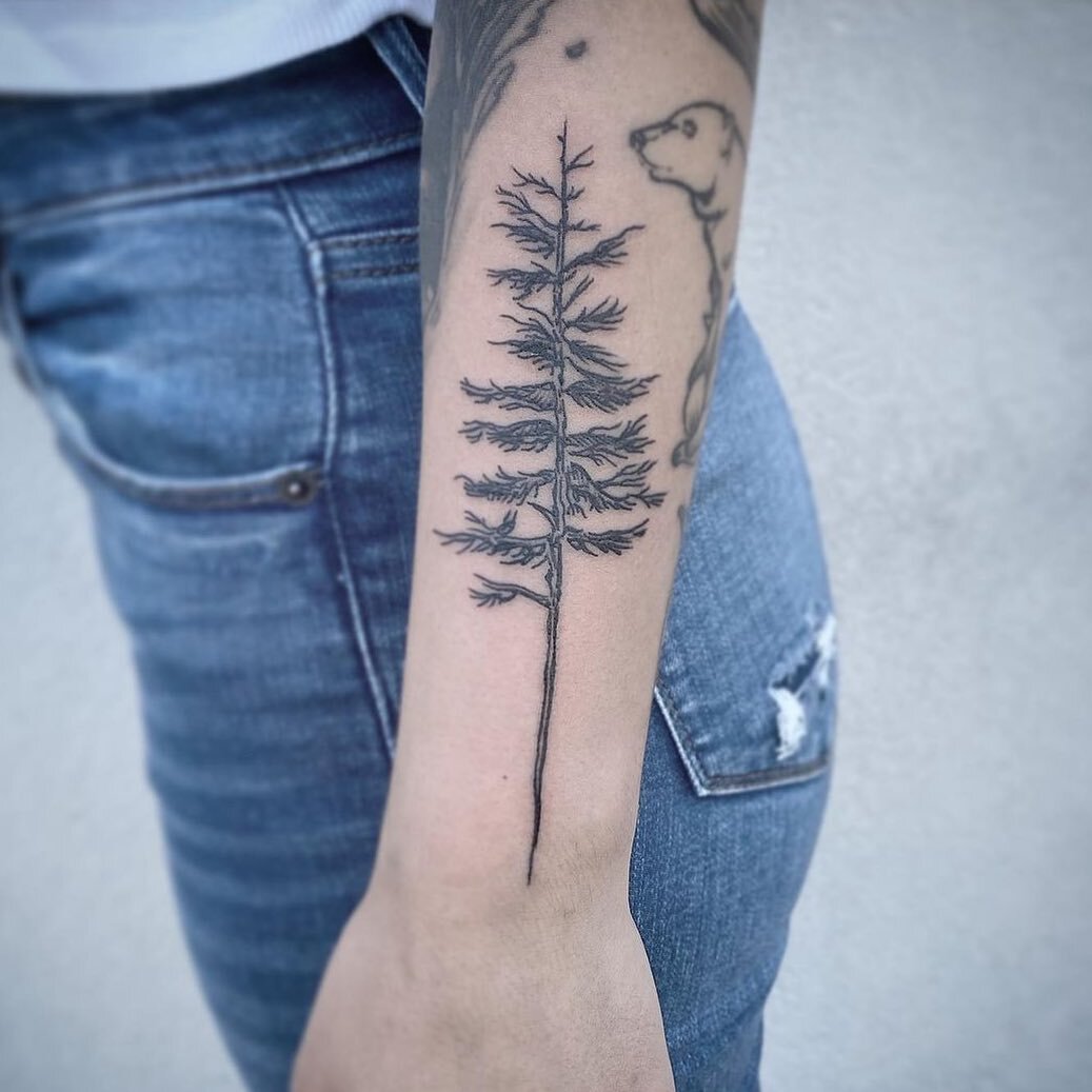 Simple Tree by @russellkills 🌲 Tag someone who wants a nature tattoo!#smallbusiness #tree #treetattoo #nature #naturetattoo #handsomdevil #handsomedeviltattoo #handsomedeviltattooco #handsomedeviltattoocompany