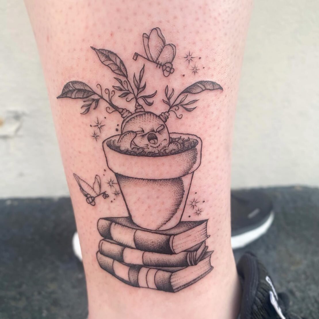 Baby Mandrake by @madisonpaigedavenport ✨ Tag someone who wants a Harry Potter Tattoo! #tattoo #njtattoo #njtattooartist #smallbusiness #mandrake #mandraketattoo #harrypotter #harrypottertattoo #handsomdevil #handsomedeviltattoo #handsomedeviltattooc