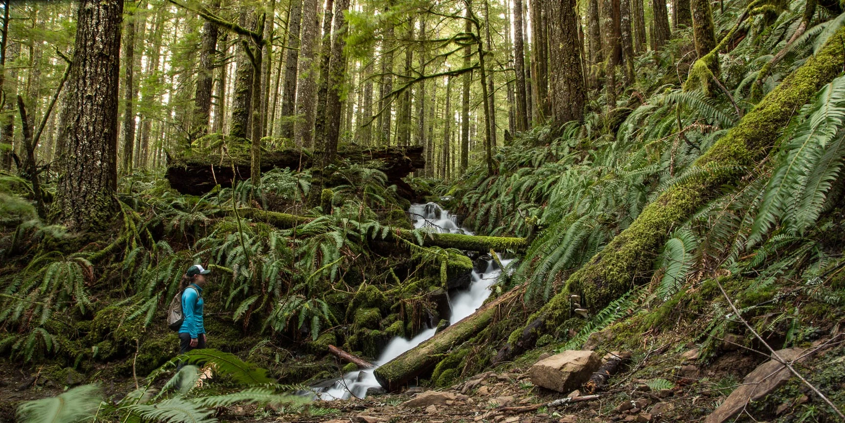 2017_February_SixounCreek_009.jpg