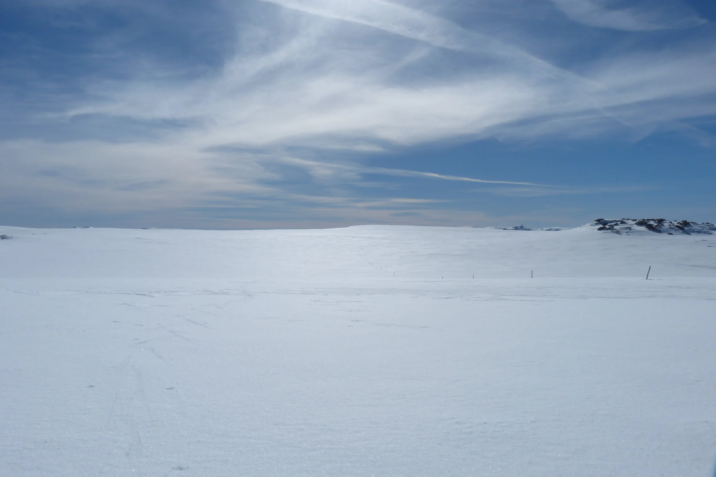 Poleline looking north.JPG