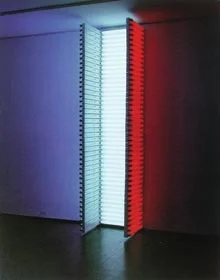 Example 1  Flavin Da N (1933 ~, New York)Untitled (for the citizens of the Commonwealth of France ...) 1989 Red, blue, white fluorescent lamp height depending on the venueNew York Leo Gallery