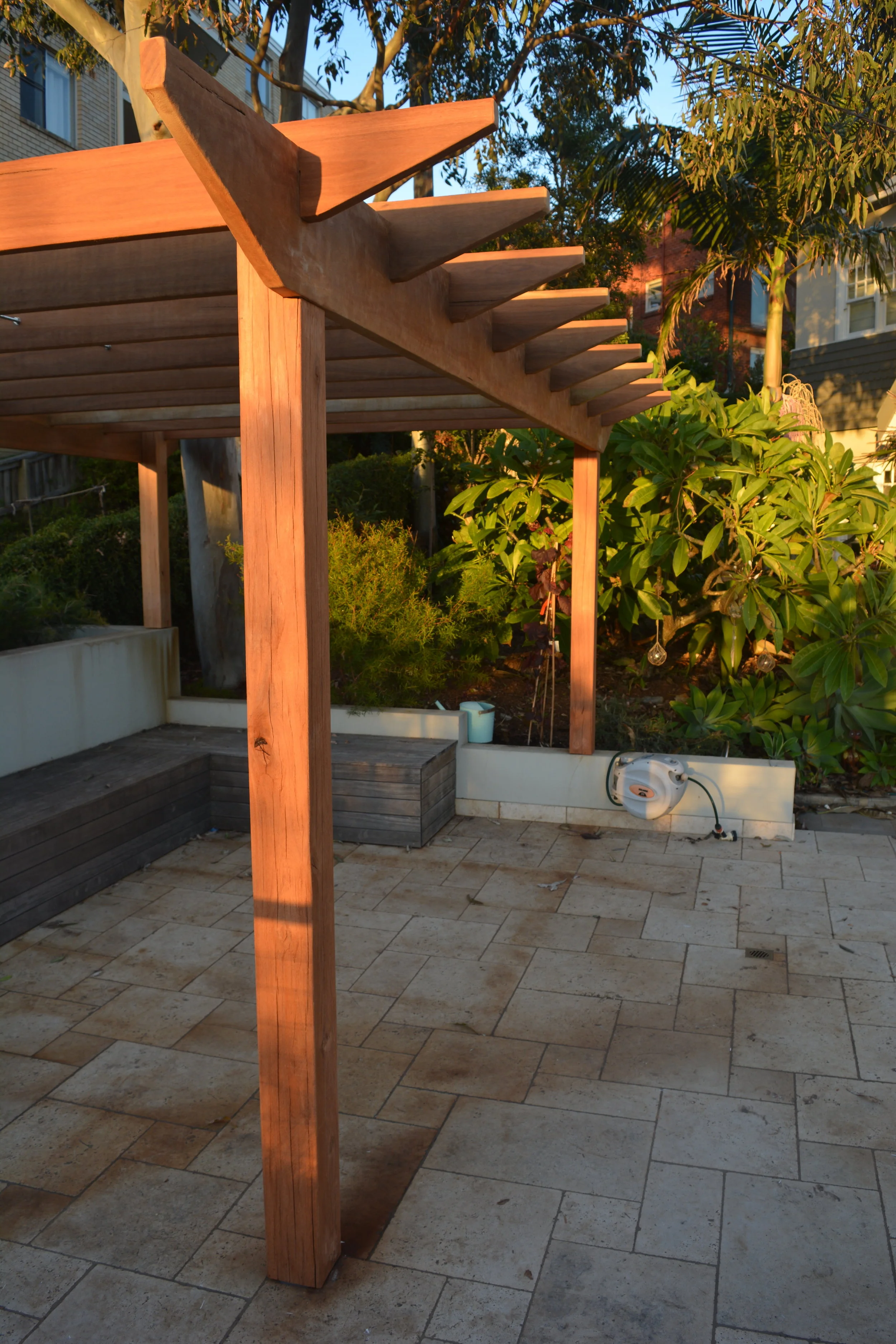 Spotted gum and iron bark.JPG