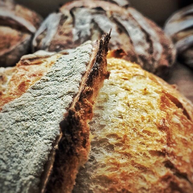 Busy day with baking, few loafs whole wheat 🌾, white wheat 🌾 and mint with halloumi. Lovely smell and delicious 😋 taste.
.
It&rsquo;s all about the starter. The fresh and strong leaven is, the better your result you get.
.
#sourdough #bread #leave