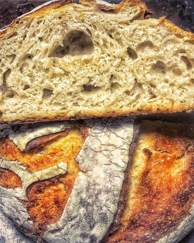 Mostly white wheat 🌾 sourdough loaf. Wonderful aroma, nice spring and yummy taste. Goes well with the wonderful marmalade I made few days earlier 😋 and/or the super spicy delicious kimchi.
.
.
.
#sourdough #sourdoughbread #bread #kimchi #marmalade 