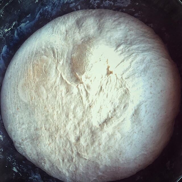Ready for overnight nap 😴 Organic stone milled while 🌾 and whole 🌾 with high proteins percentage. 
It looks beautiful and smells fantastic. .
.
.
#sourdough #sourdoughstarter #sourdoughbread #sourdoughbaking #leaven #leavenedbread #naturallyleaven