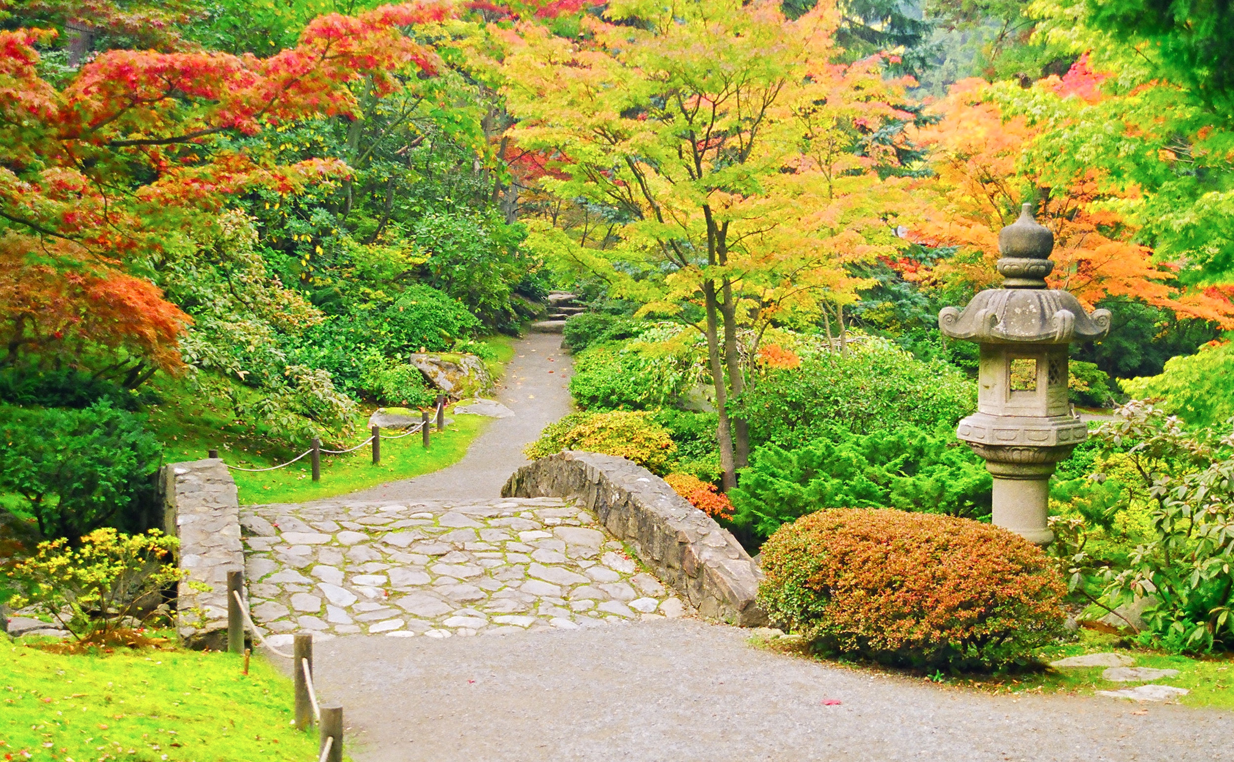 Japanese Garden 5-2.jpg