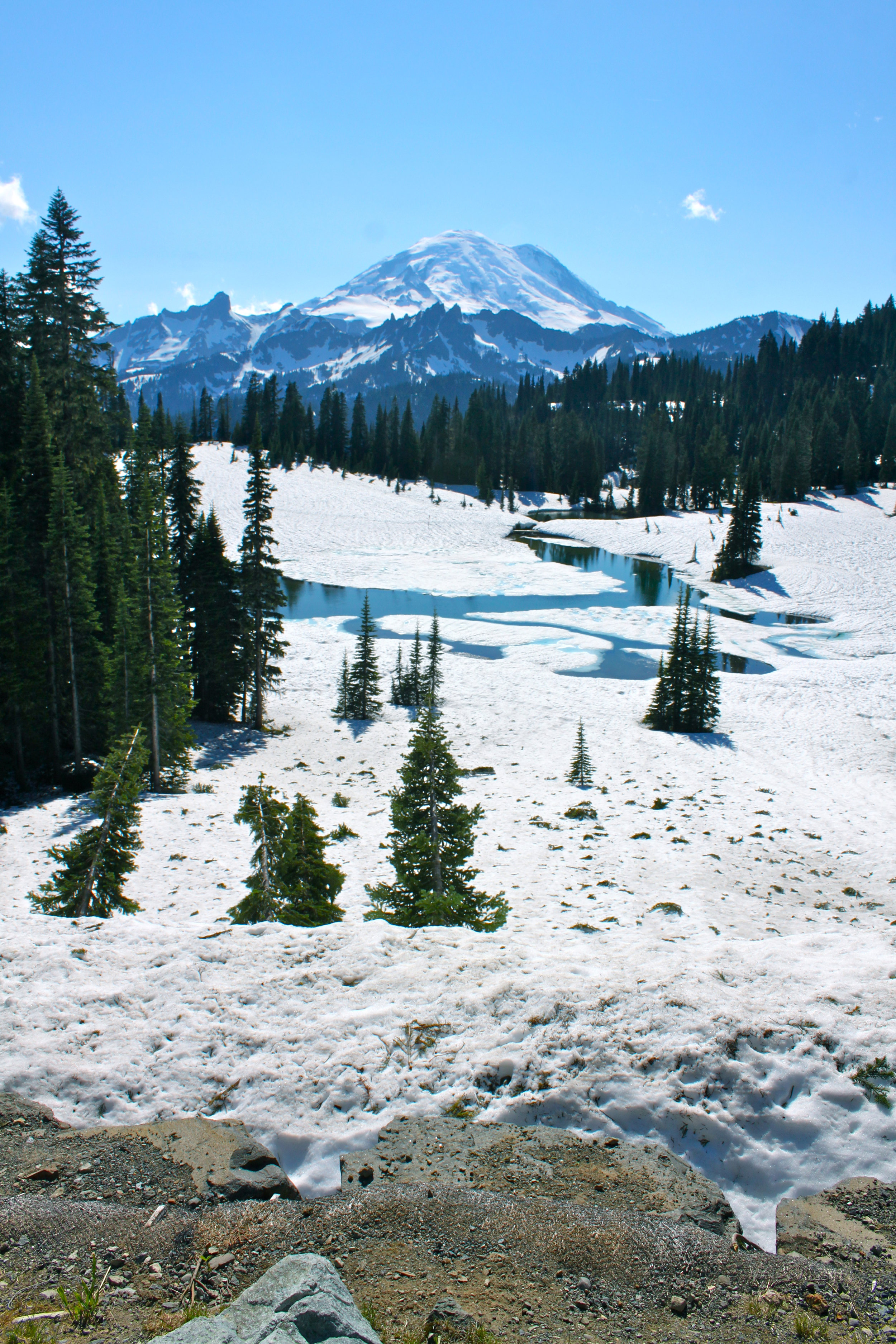 Mount Rainier 3.jpg