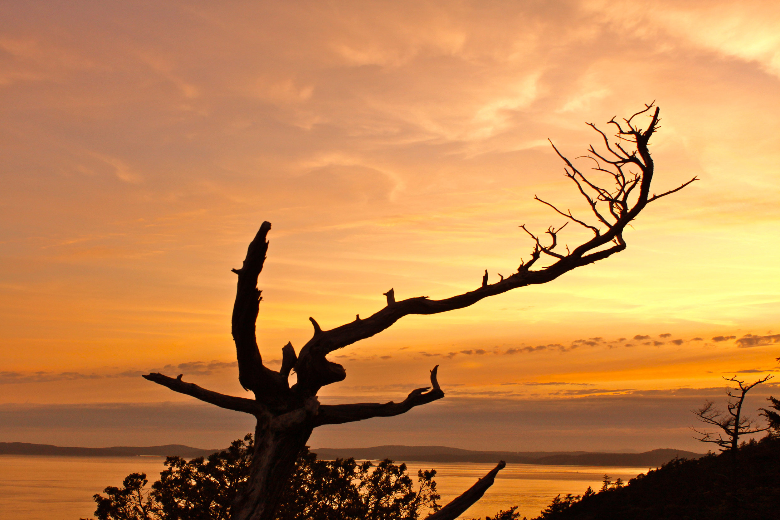 Sunset in Anacortes.jpg