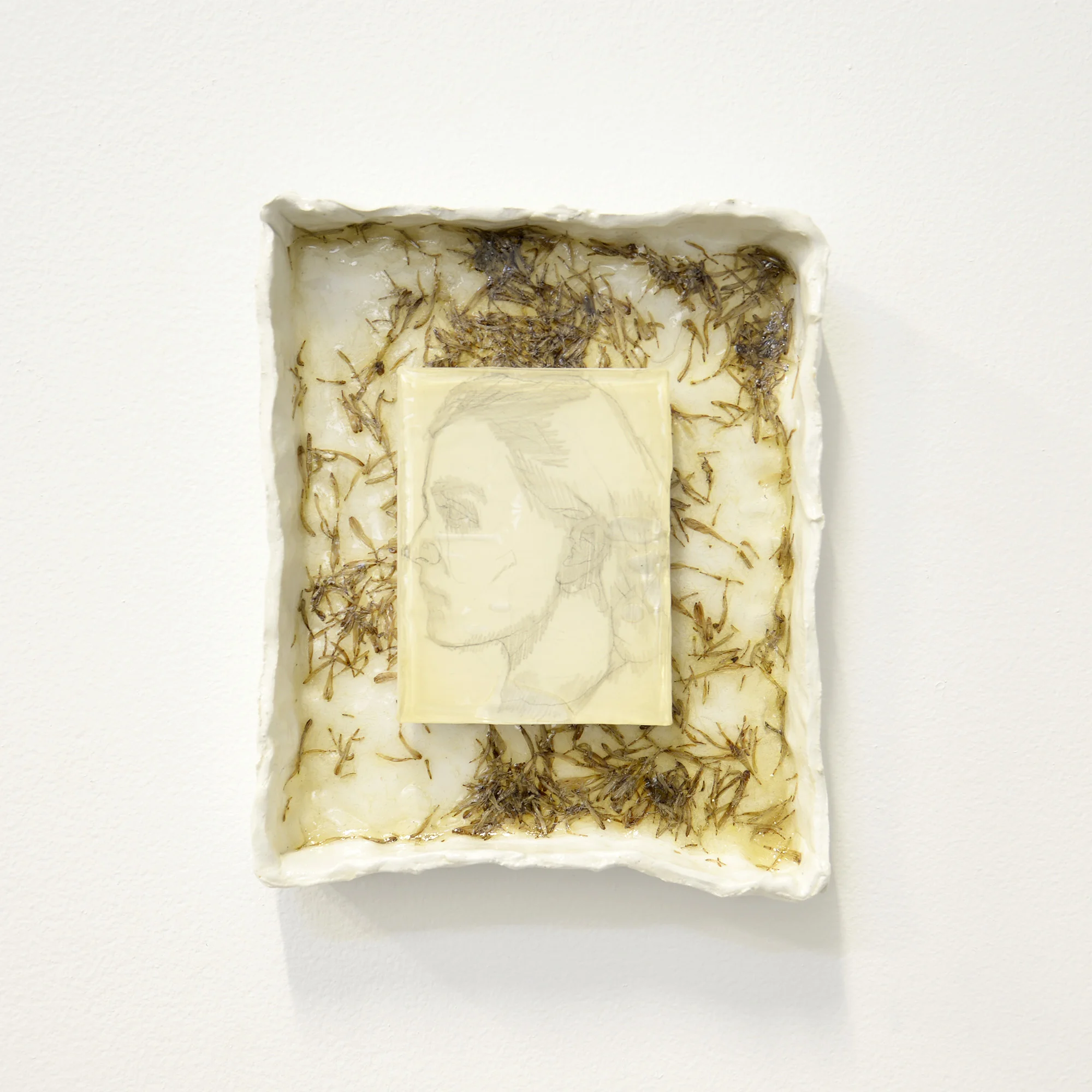 Dana Laurie Savings 2016-18 pencil and resin on board with ceramic frame and flower petals from Sarah 22cm x 15cm