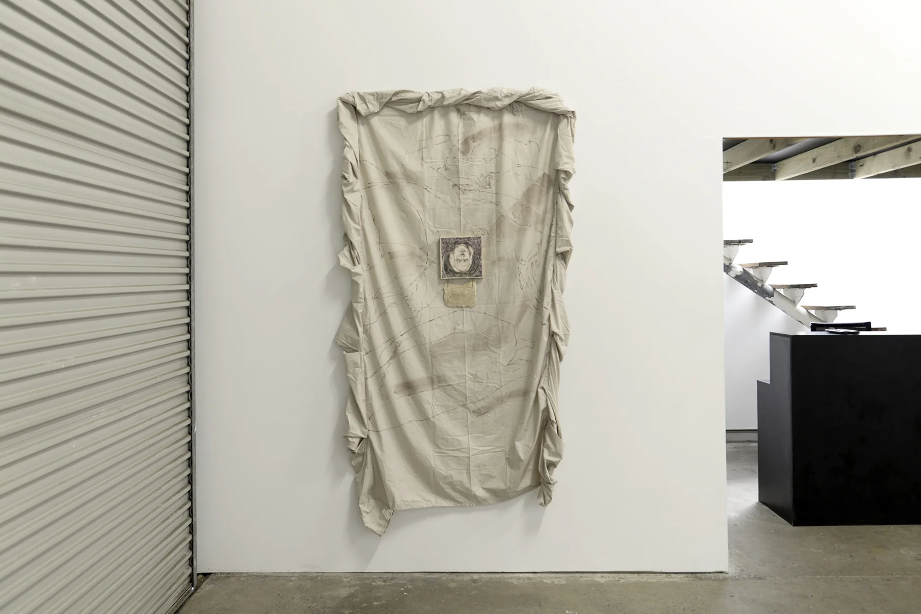Dana Laurie Back pedal Dana 2018 pecan and hibiscus ink on cotton, biro, coloured pencil, oil on board, and butterfly pea flower in acrylic cast weaving 250cm x 100cm