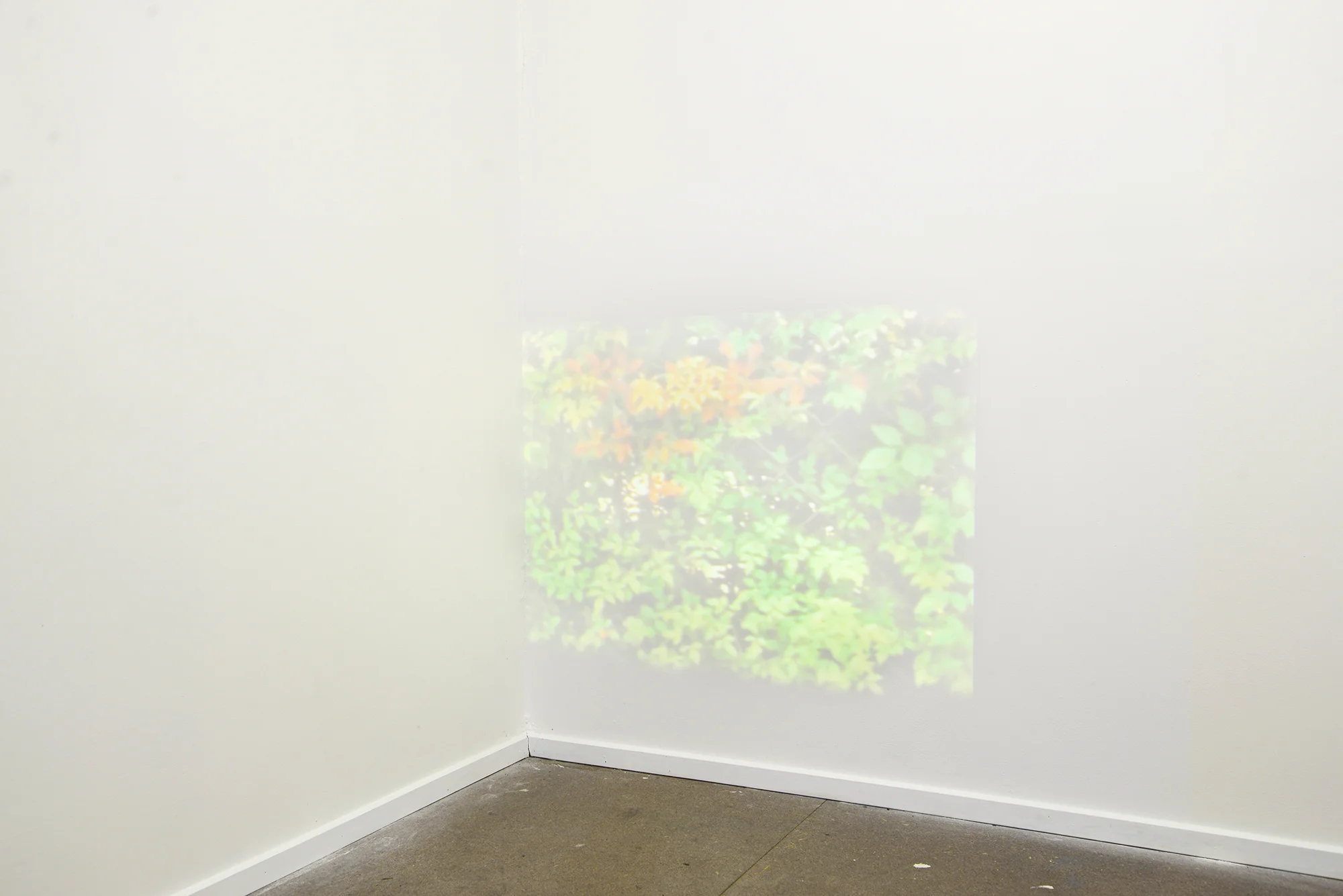 Making Arrangements c.2000/2018 single channel video projection: Super 8 film transferred to MP4, 2:22, silent
