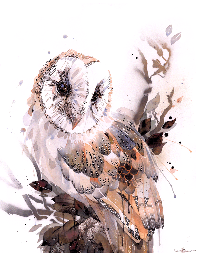 BarnOwl_print.png
