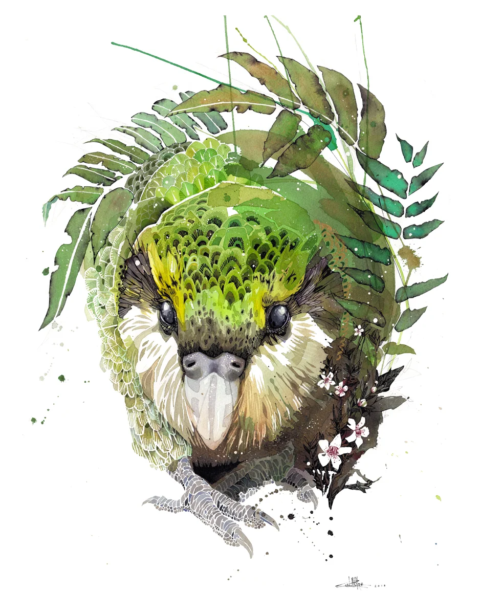 Kakapo Manuka by Rachel Walker