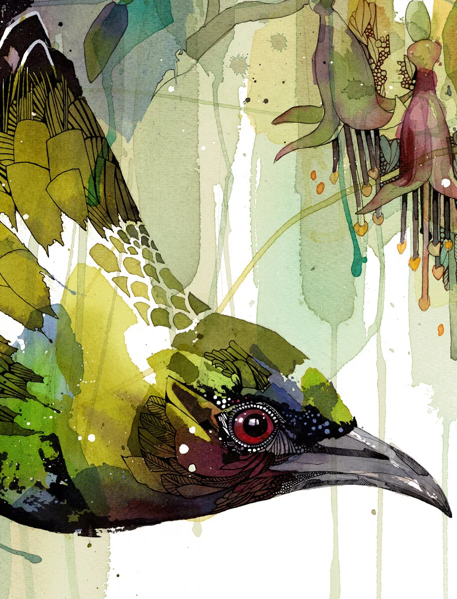 Native_Fuchsia_Bellbird_Beauty_closeup_web.jpg