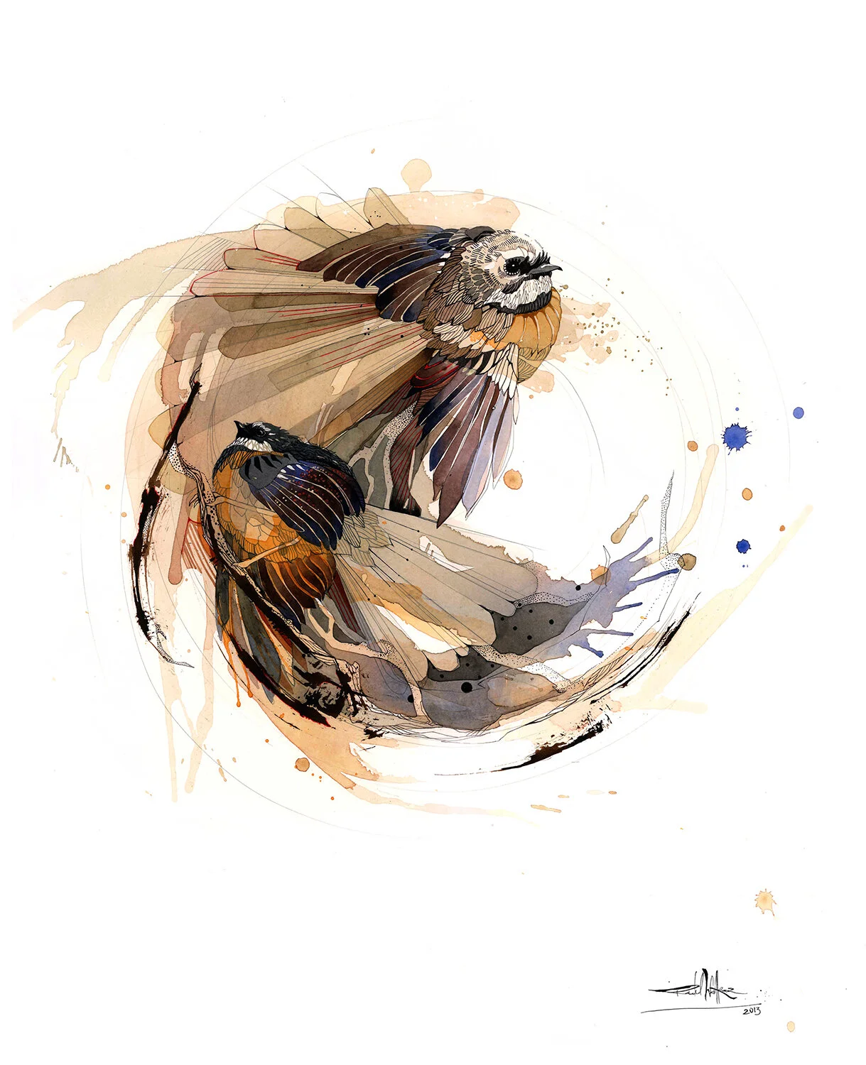 Pīwakawaka Fantail New Zealand native bird watercolour art prints by Rachel Walker Wellington