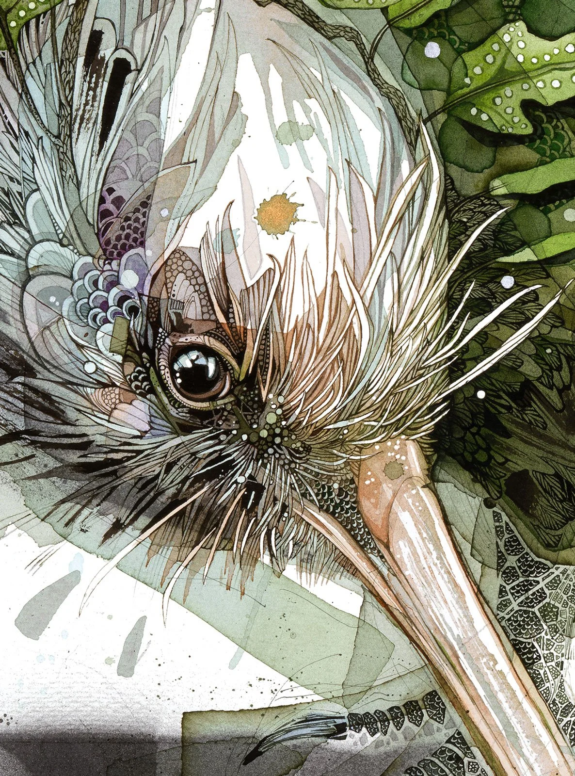 Mossy_Kiwi_web2.jpg