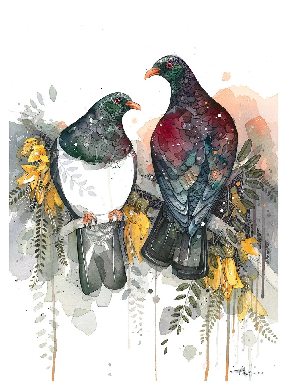 Kereru New Zealand Wood Pigeon Watercolour artwork by Rachel Walker