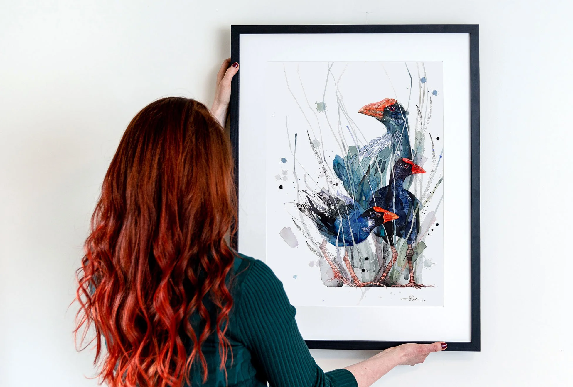 Framed_Pukeko.jpg