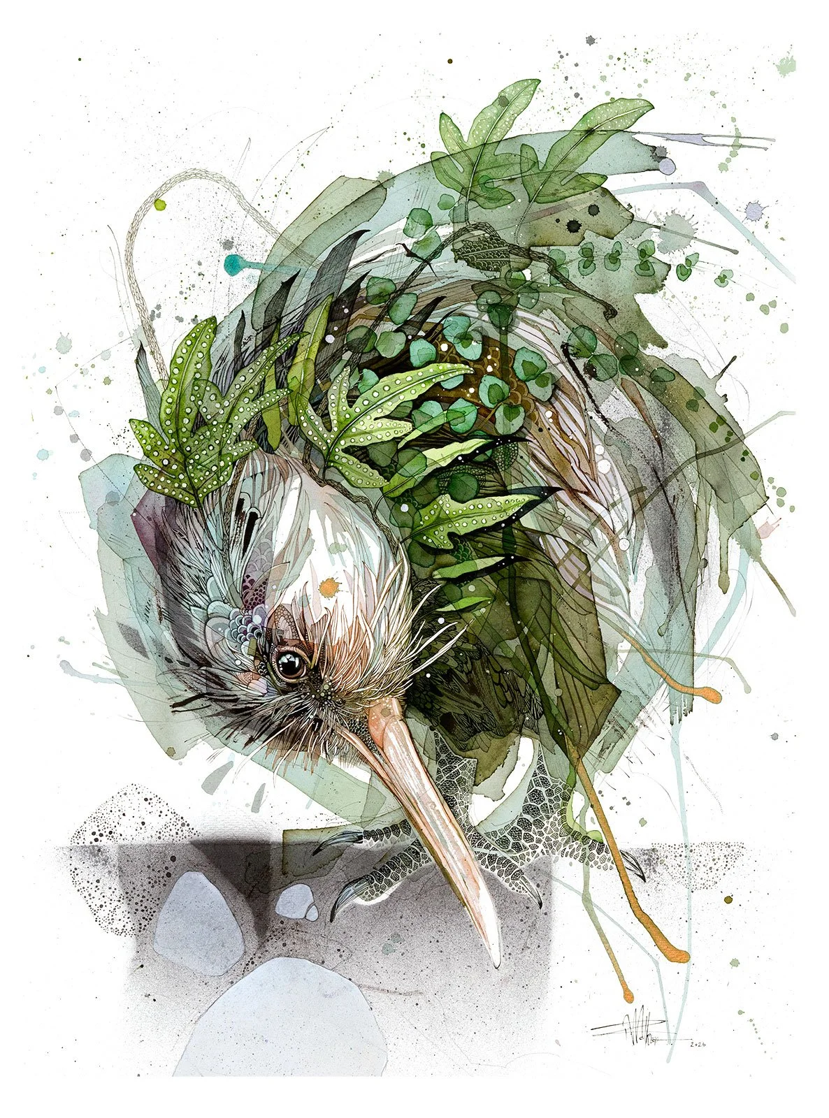 Mossy_Kiwi_web.jpg