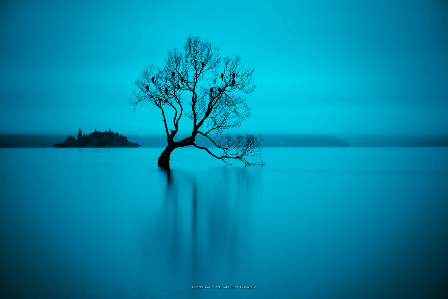 inversion-tree.jpg