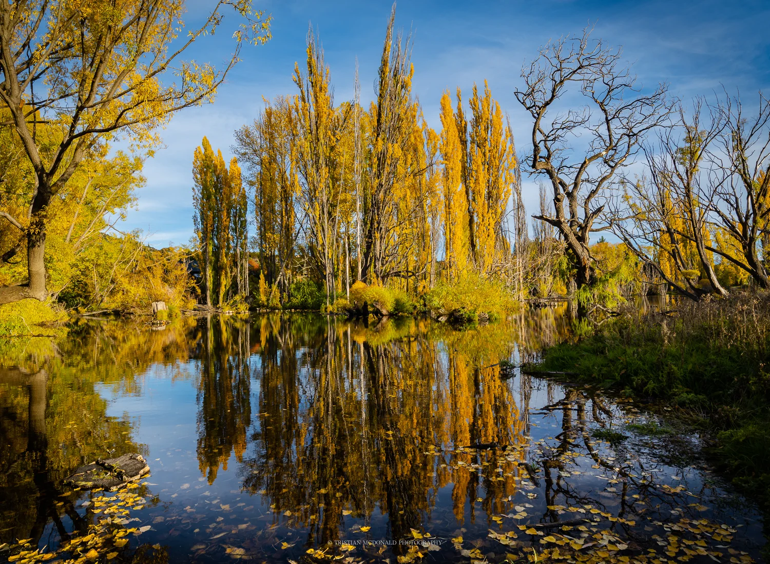 autumn-lagoon.jpg